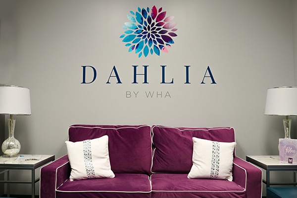 About us Dahlia by WHA
